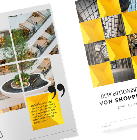 Mock-up Repositionierungsbedarf Shopping-Center_v2.png